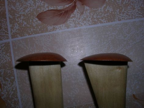 dscn6498_2.jpg